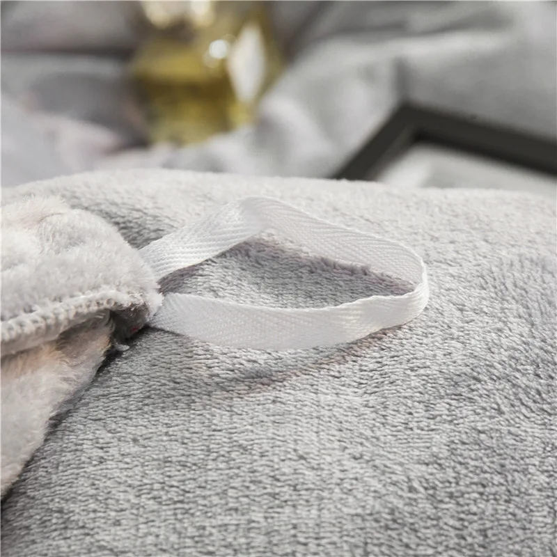 Warm Cozy Flannel Bed sheets set Soft  bed sheet Fleece bedding set For Home