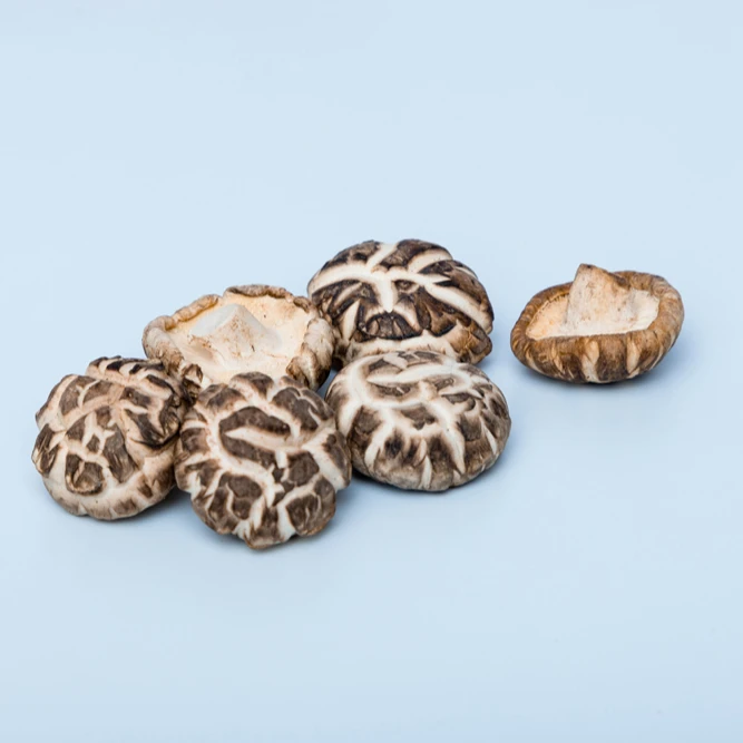 Dried slices mushroom dried mushroom packaging dried boletus mushroom