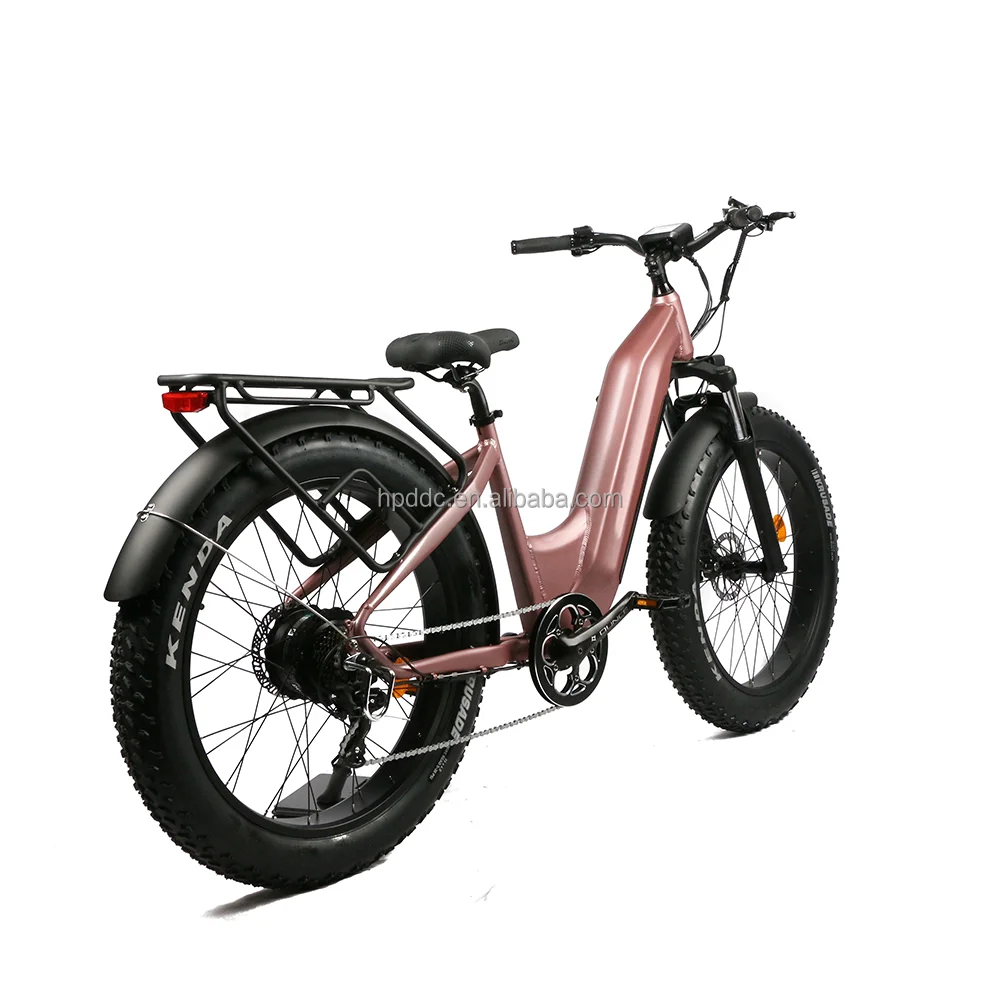 Two-wheel 500W powered motor 2024 electric mountain bike disc brake for both fat tire electric bike 7 speed ebike