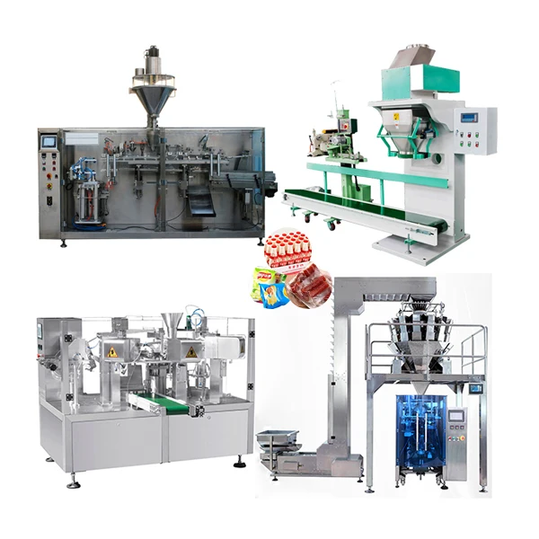 BW-SD premade big bag chicken powder packing machine