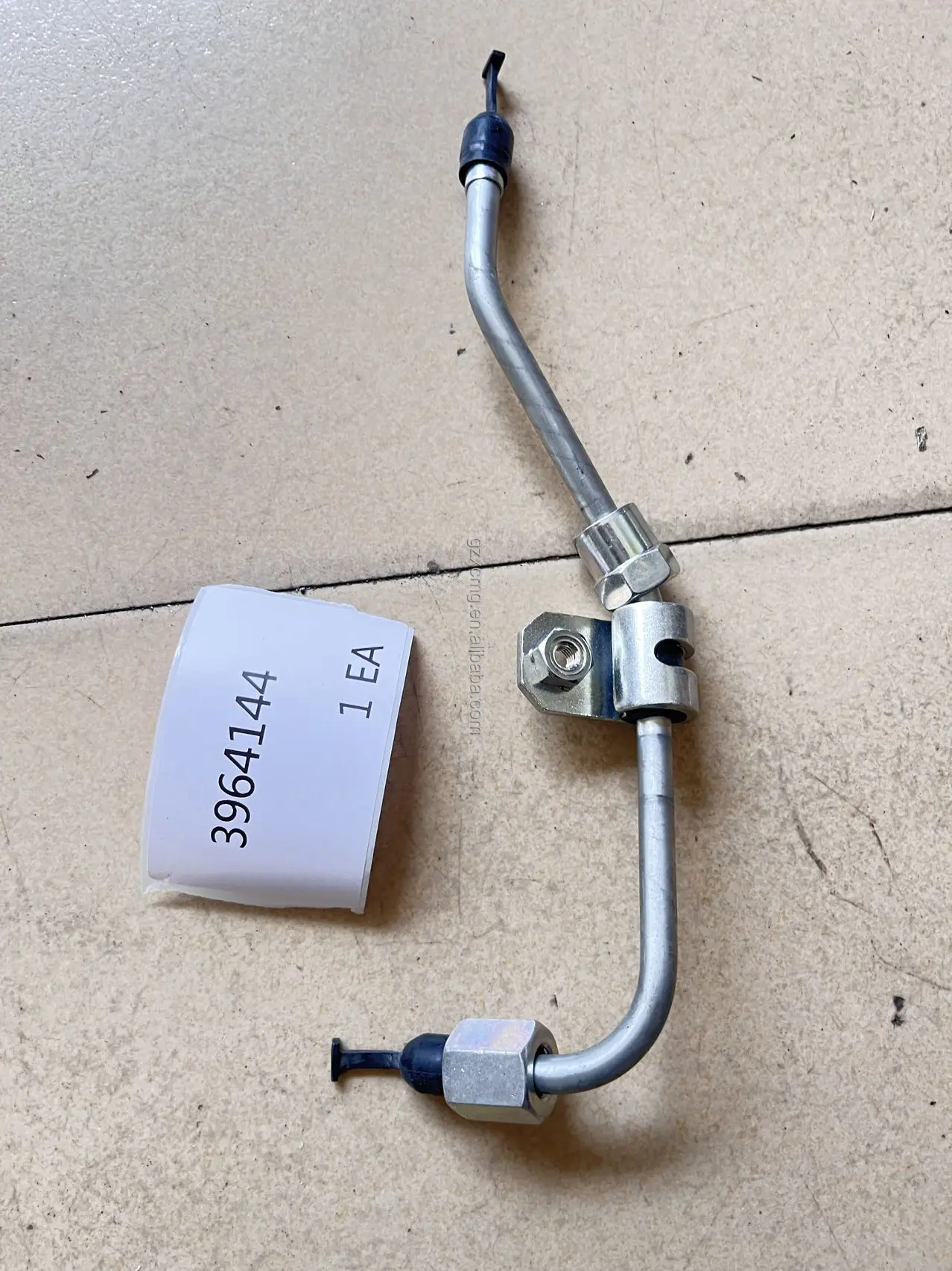 3964144.jpg