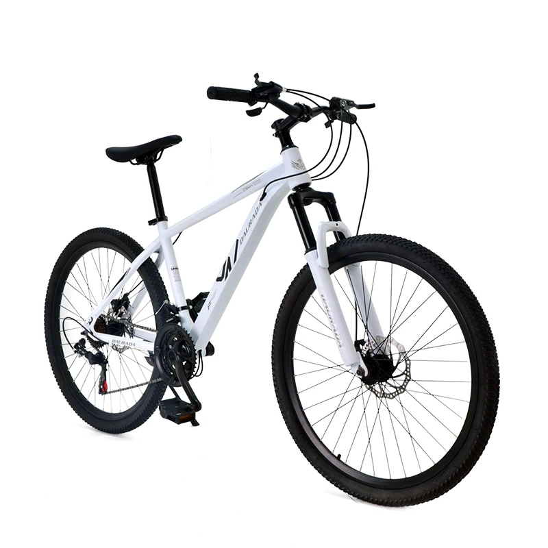 High quality mountain bike adults customised carbon mtb gear cycle for man