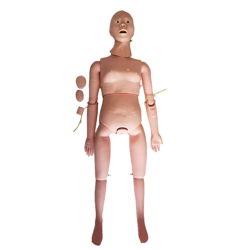 High Quality Basic Female Nursing Care Training Manikin Simple CPR Training Manikin