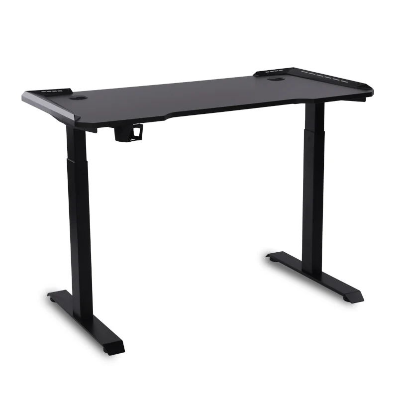Standing Dual motor Electric Height Adjustable Gaming Desk Computer Ergonomic Home Office Table PC Gamer Desk Black
