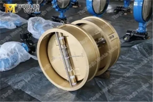 2 inch  cast iron plate one way  non return check valve