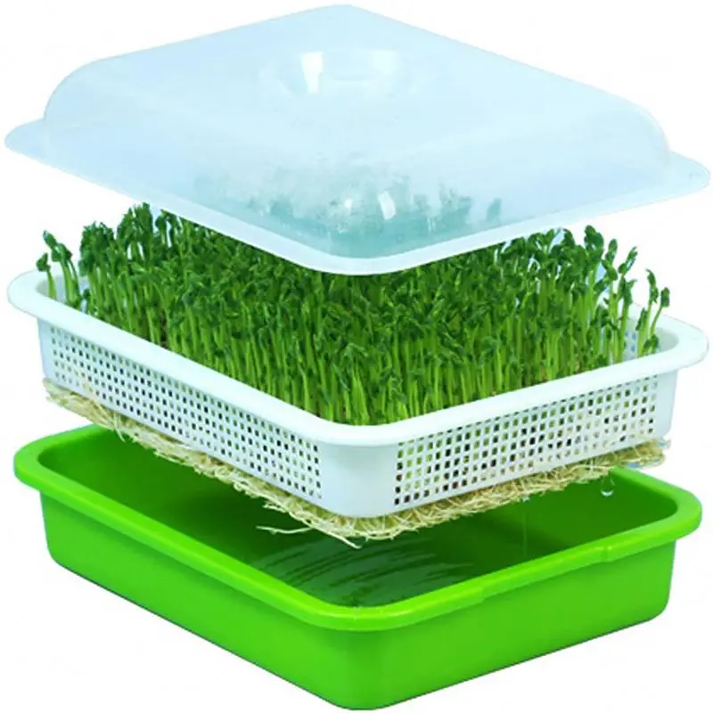 Amazon Eco Material Green Soil Free with Cover Lid for Kitchen Use Seed Grower and Storage Trays Sprouting Tray