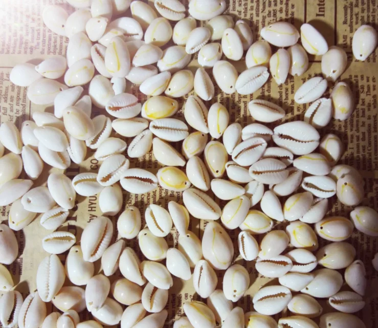 hair mountings braiding cowrie shell beads for hair accessories shell hair clip decor 1kg