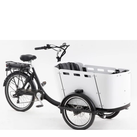 Electric Cargo Bike Ce Best Price 3 Wheel Pedal Motorcycle Tricycle for Cargo Bike With Kid/Cargo Delivery Tricycle