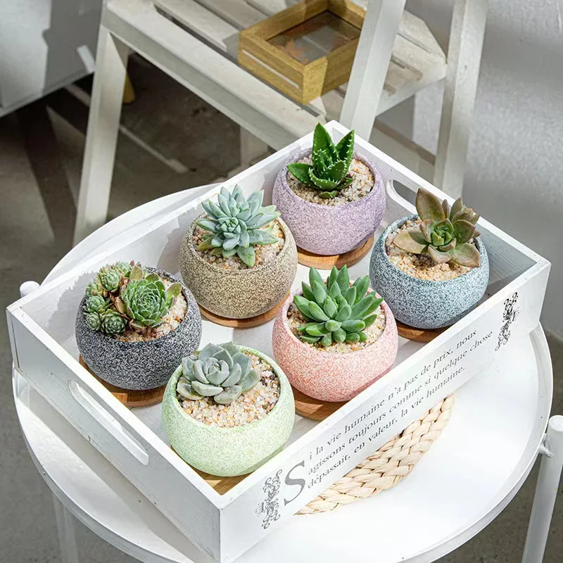 Wholesale custom various color Nordic modern plant pots indoor home decoration fancy mini succulent flower pots for sale