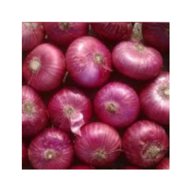 fresh red/rose indian onion