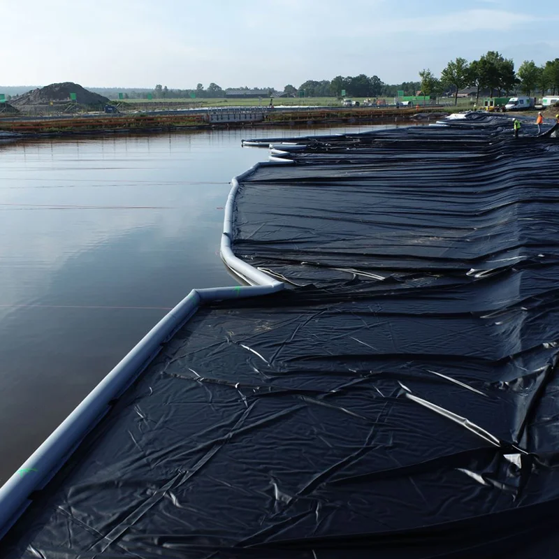 Factory Wholesale Hdpe Liner Waterproof Geomembrane Modern Membrane For Pool