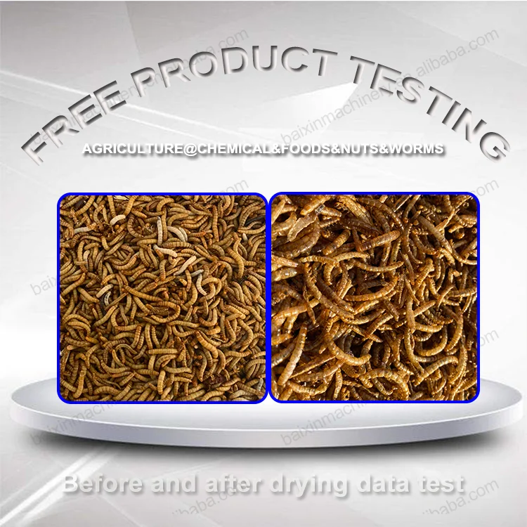 Cat sand litter  black soldier fly larvae honey drying machine