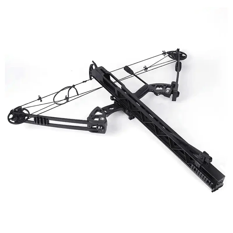 Strong Stability China Hunting Compound Bow Arrow Compound Bow