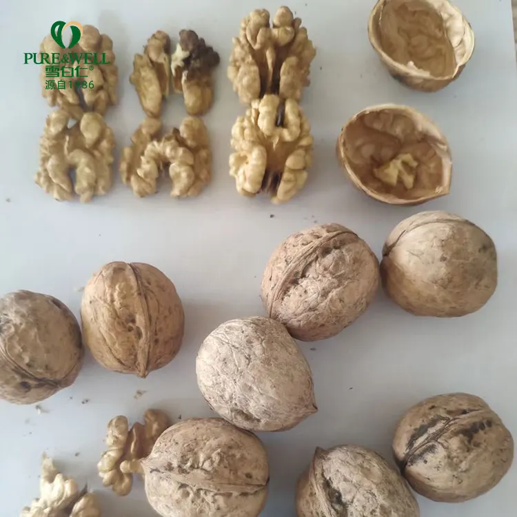 Healthy snack fresh whole nuts raw dried walnut