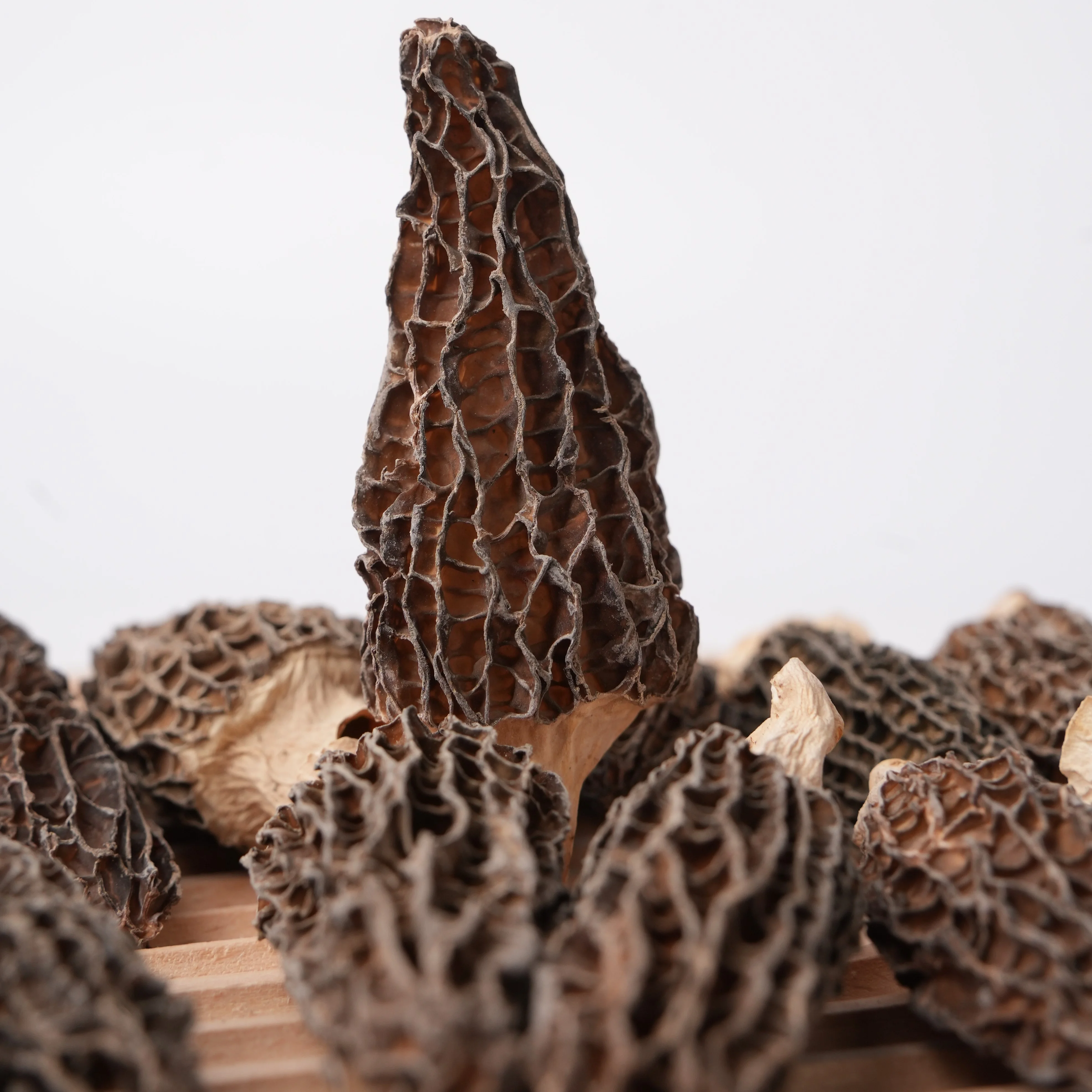 Wholesale China High Grade Wild Dried  Morchella Esculenta Morel Mushroom morels mushroom