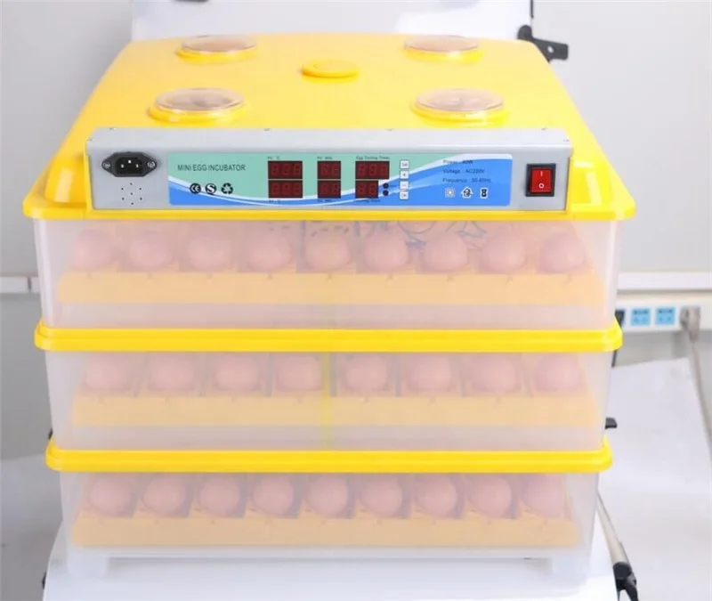 high quality and best price egg cabinet incubators