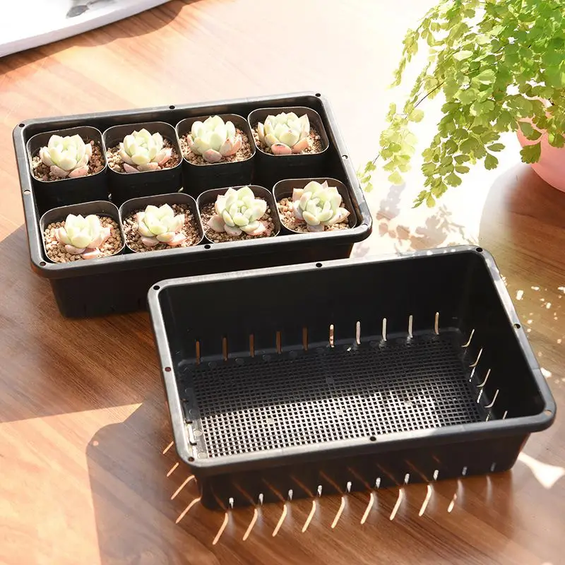 
plastic seed tray seed trays for sale wholesale nursery tray planting black 