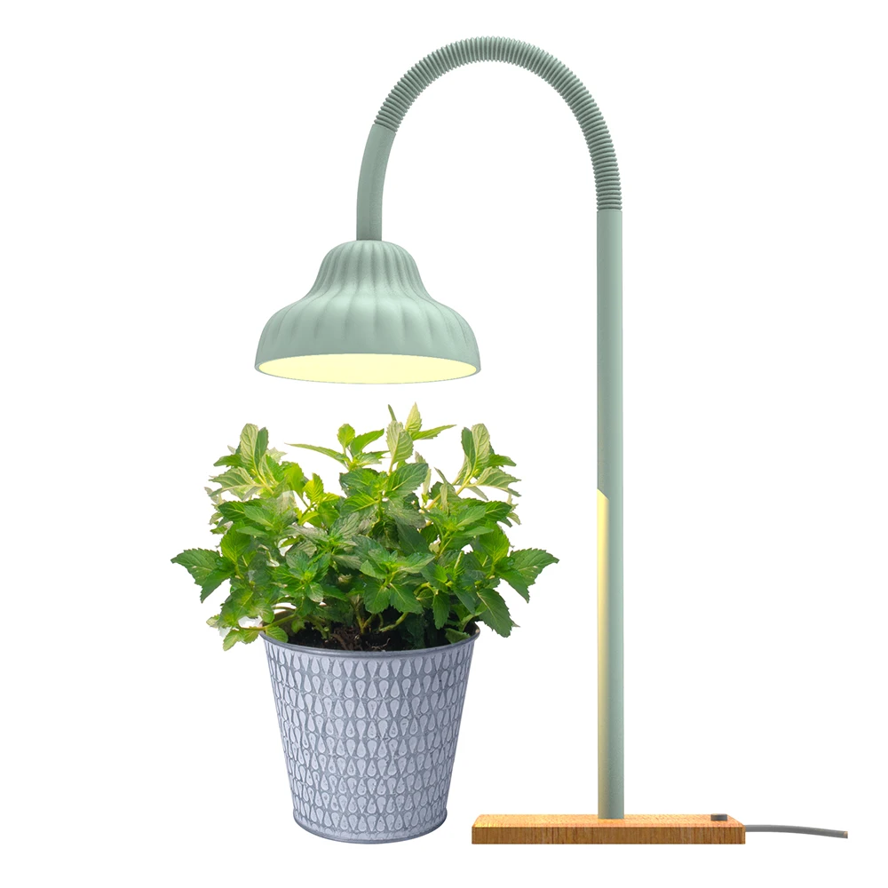 LED Mini Garden Plastic grow plant table lamp  lights  indoor Kids NEW 2021 Grow your own full spectrum