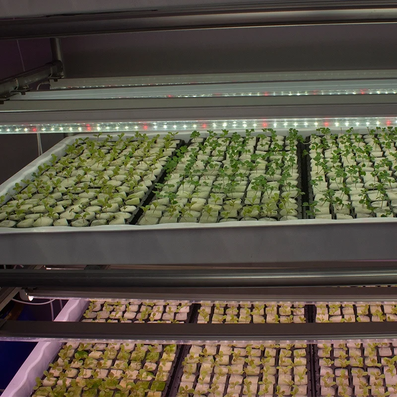 rdwc hydroponic growing systems seeding planting rack indoor plant racks