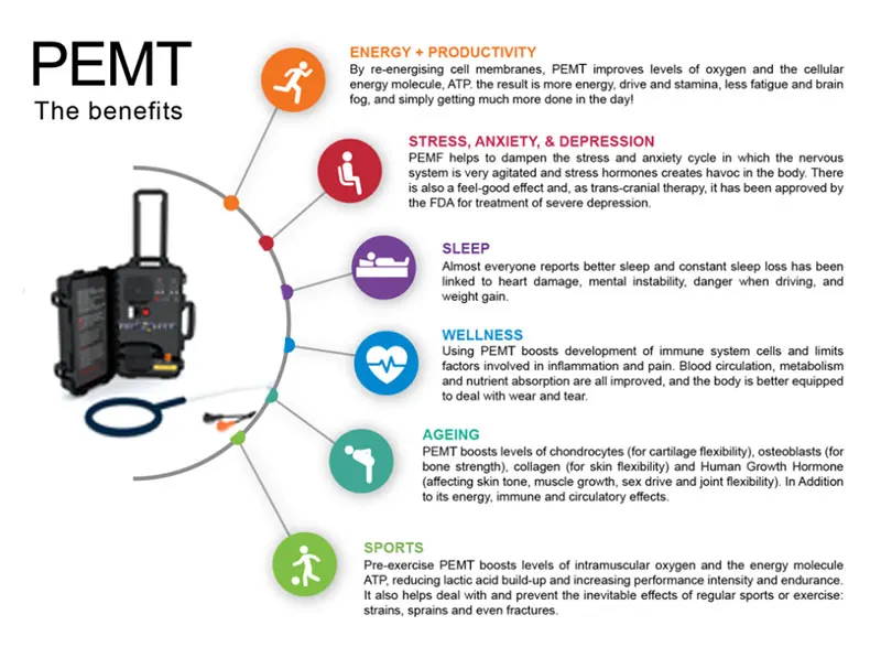 Physical Treatments pemt LOOP Improve Horses Lameness And Colic Magneto Therapy Make Horses Stay in Health