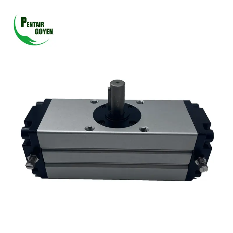 CDRA1 Rotary Actuator Rack Pinion Style Series Pneumatic Cylinder CDRA1B63-18 90 100 180 190 Degree Air Cylinder Air Gripper