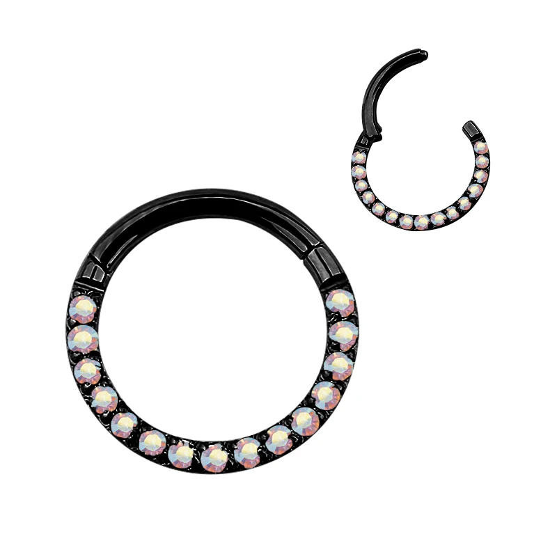 ASTM F136 Titanium Nose Rings Hinged Segment Rings Earrings Piercing Body Jewelry for Woman Man