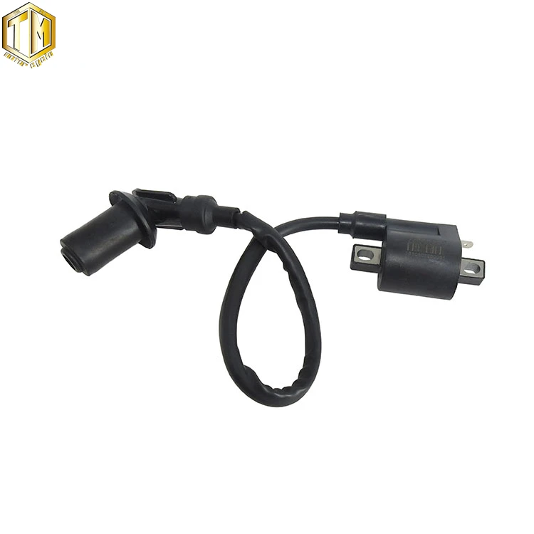TMMP катушка зажигания мотоцикла с крышкой свечи зажигания GY6 для Yamaha JOG 50 Qianjiang KEEWAY внешний вид 125/150 с водяным охлаждением