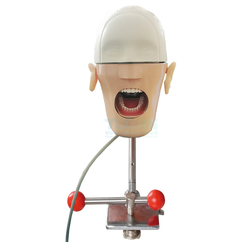 Моделирование зубной фантомной головы Denta Ортодонтическая тренировочная модель медицинские симуляторы для обучения другие стоматологические аксессуары