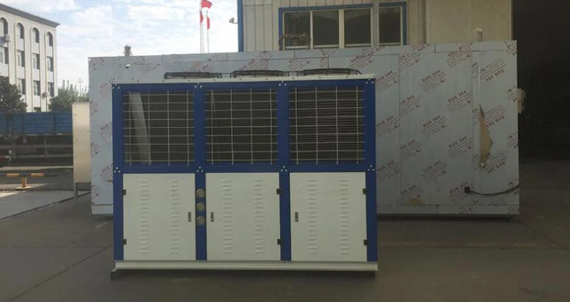 Iqf Tunnel Freezer Blast Freezers For Sale Freezing Machine Machinery For Frozen Potato Instant Freeze Machine