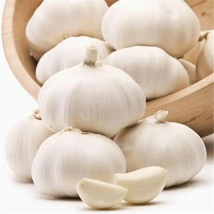 China cheap garlic Chinese normal white garlic fresh garlic price