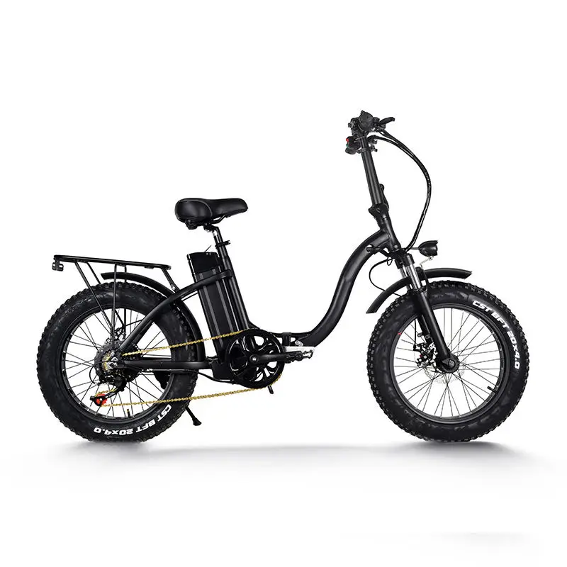 Adn-Ftc300 48v 10.5ah New Model Electric Bicycle Transmission 7 Speed Bicicletta Mtb Alu Alloy Ebike Elektrofahrrad