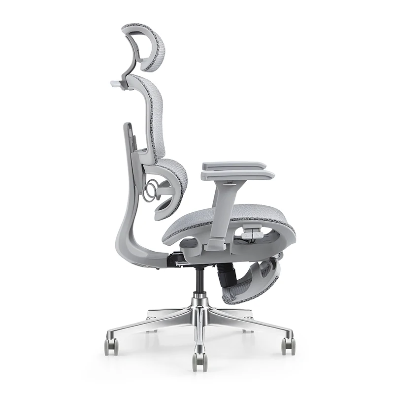 Foshan Supplier Buy Ergonomic Office Orthopedic Support Back Computer Chair