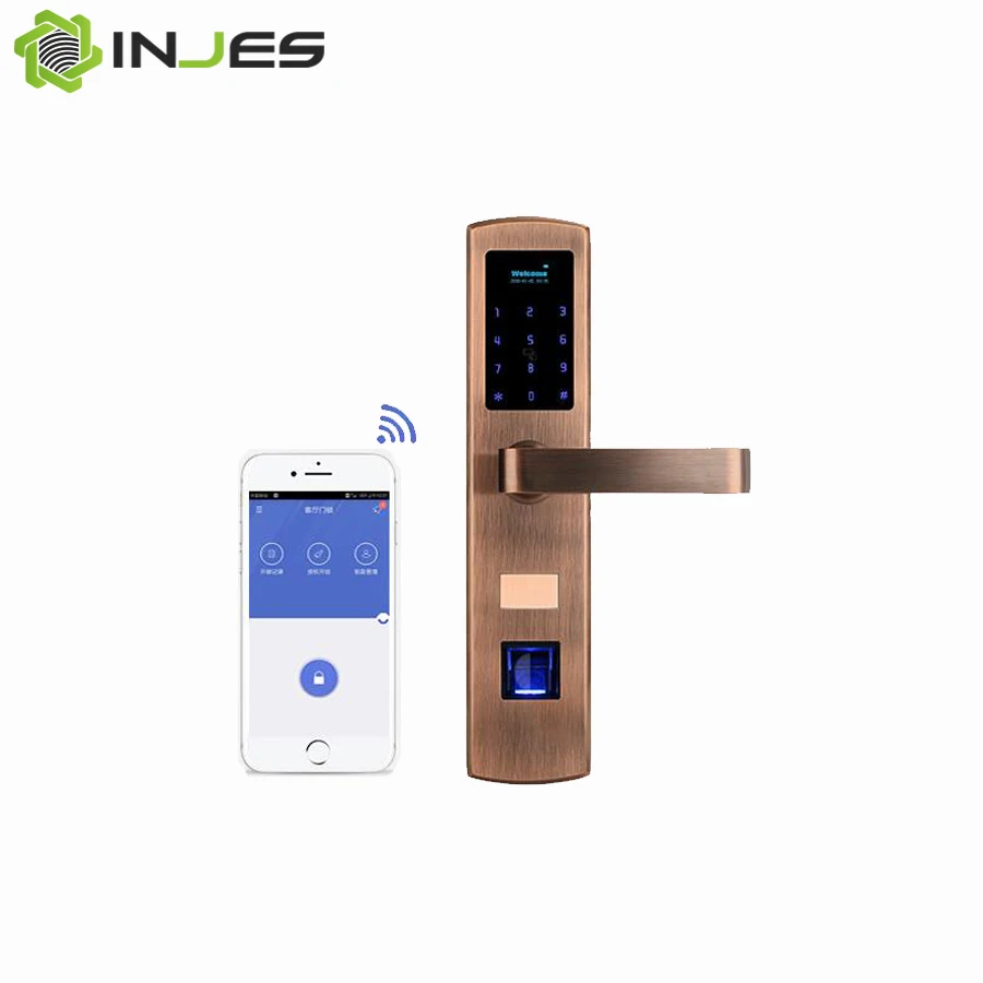 Высокое качество цифровой дверной замок биометрический замок умный замок wifi Мобильный контроль