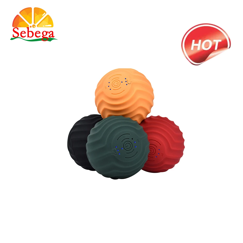 Yoga Exercise Ball Rechargeable Electric Massage Roller Vibrating Massage Ball