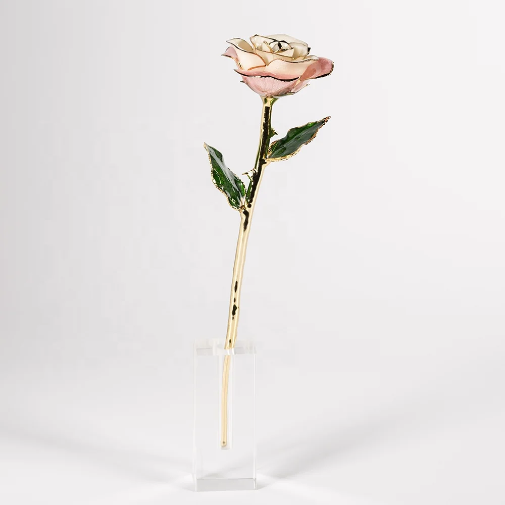 2020 Upgraded 24K Gold Dipped and Trimmed Real Preserved Fresh Eternal Rose Flower wholesale preserved roses factory