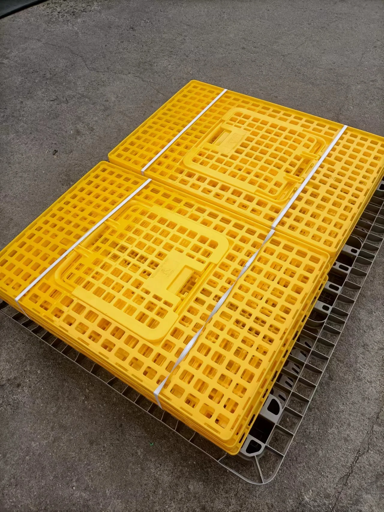 Best seller UV stabilized plastic chicken crate flip over cover 35*23.5*10.25 inch