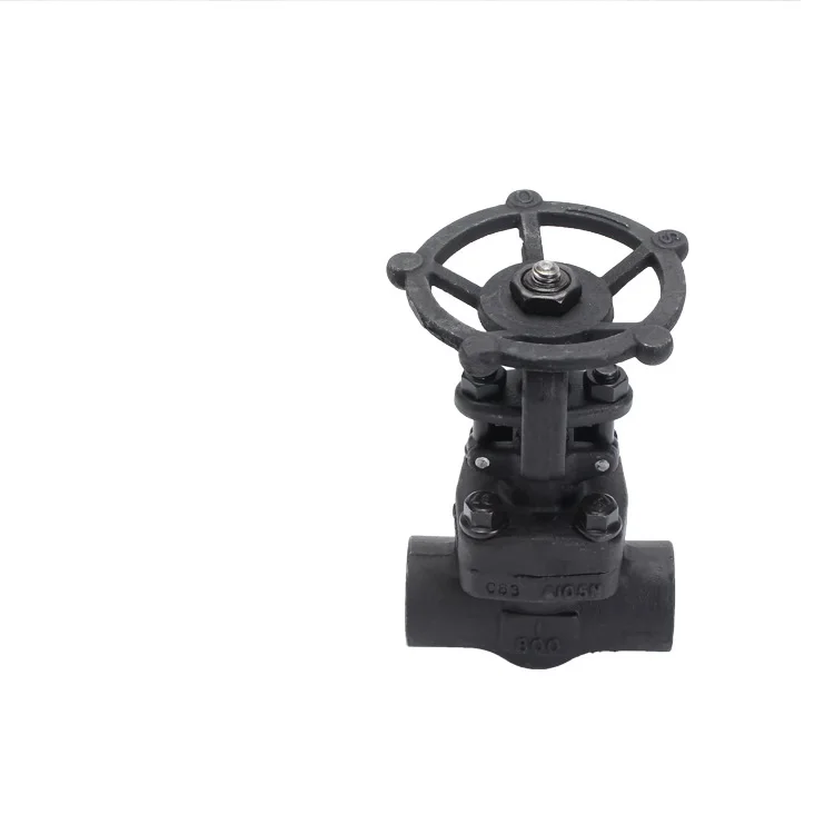 2024 Wesdom Forged socket welding 1/2 inch SW 800# trim 12 A182 F316 API 602 dn65 welded gate valve