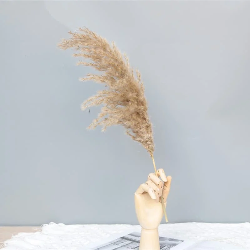 Wholesale Decorative Vase Pampas Grass Flower Arrangement Xiaochai Reed Dried Flowers