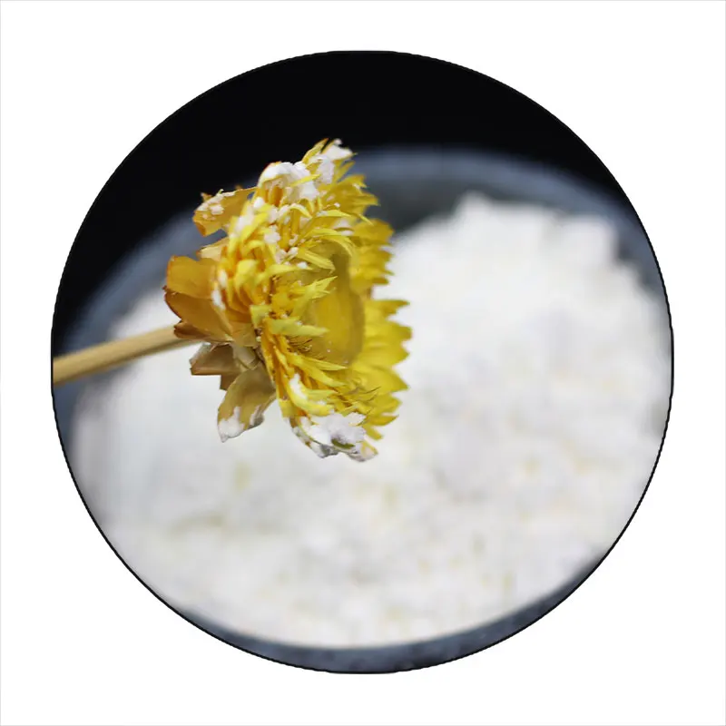 Hot Sale Magnesium carbonate of food grade sell by factory