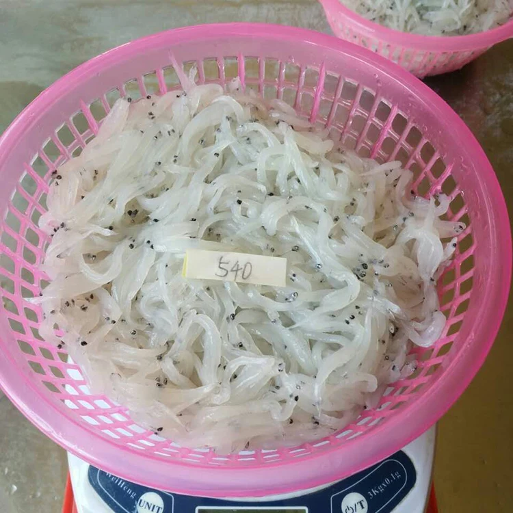 Frozen Silver Fish Block Wild Silver Fish 100% Net Weight Cheap Price Silver Fish
