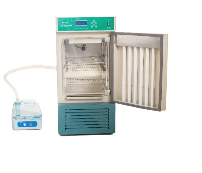 High Quality 150L Constant Temperature And Humidity Incubator For Sale