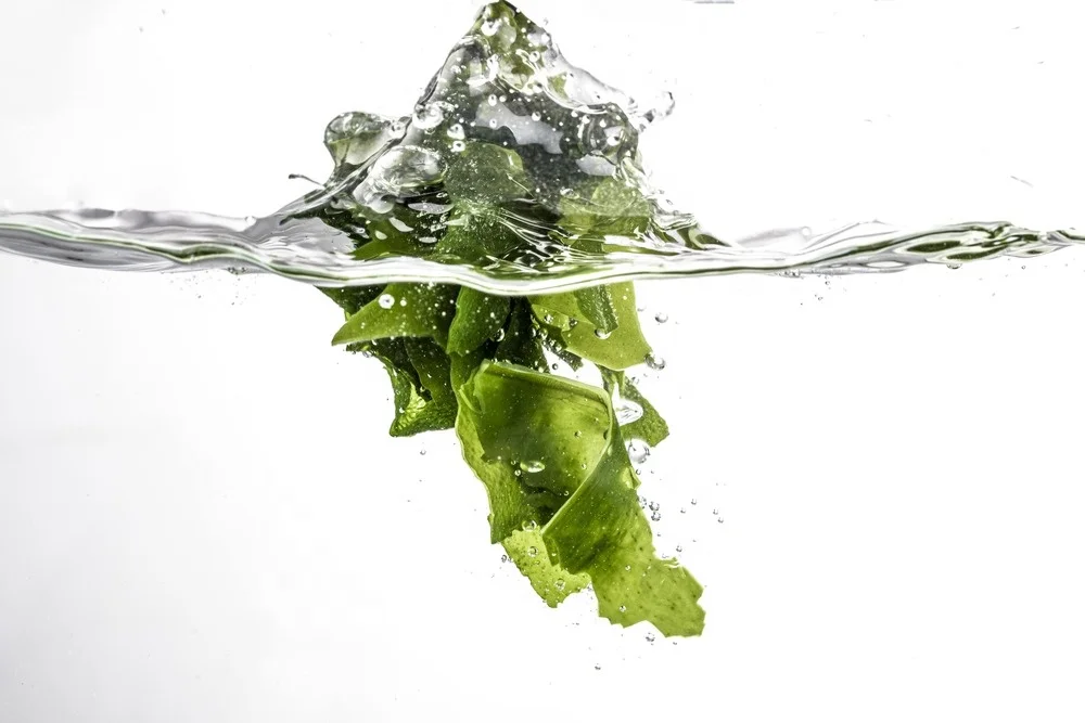 Dried Cut Wakame Seaweed Undaria Pinnatifida