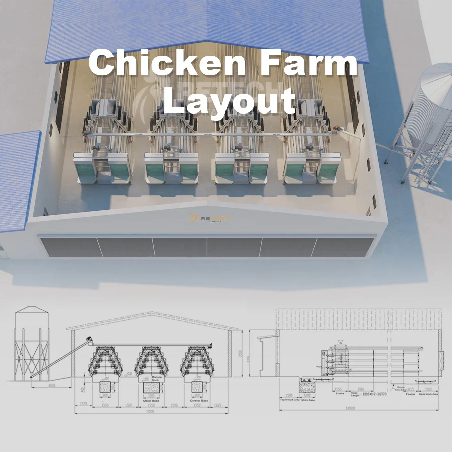 Egg Layer Cage Chicken Farm Machine for Laying Hens