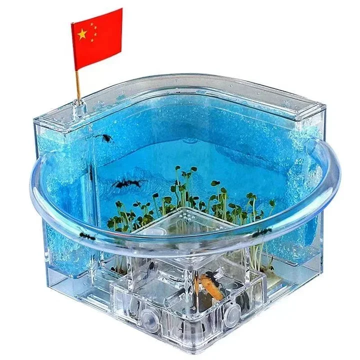 LED Light Ant Farm Castle Unisex Educational Toy for Home & School Science Learning Kit to Study Insect Behavior