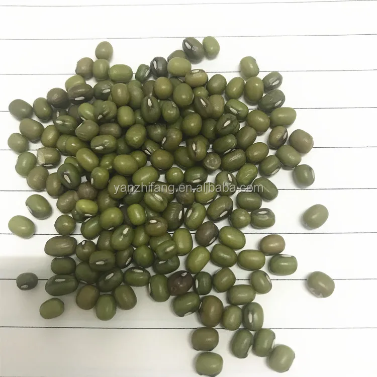
Factory supply high nutrition vietnam green mung beans for sale 