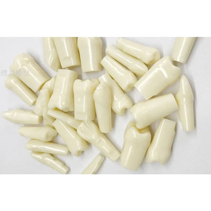 Модель зубного педикюра с одним зубом для стоматологических педикюрных мягких зубных протезов Gingiva