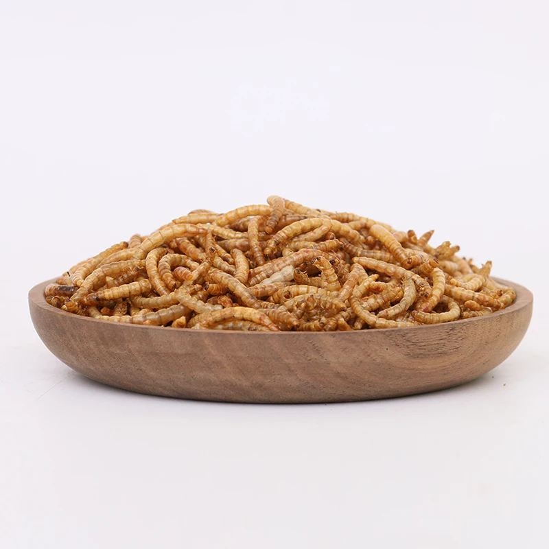High-quality protein dry mealworm animal feed reptile protein dried mealworm