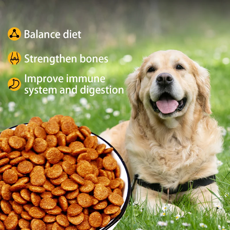  New Products High Quality for Pet Food and Dog as Chicken Flavor Dry Medium & Large Breed