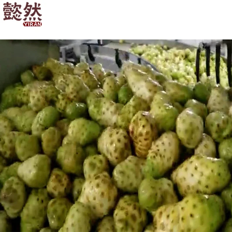 China factory price bulk wholesale Health Nutrition Food Antioxidant Noni Enzyme Red Orange Grape Mulberry Mix Fruit Juice