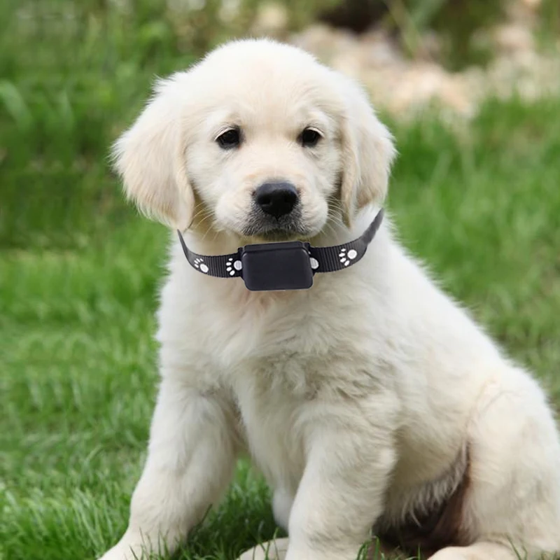 GPS-трекер P03 для домашних животных устройство слежения с функцией Wi-Fi и LBS собак